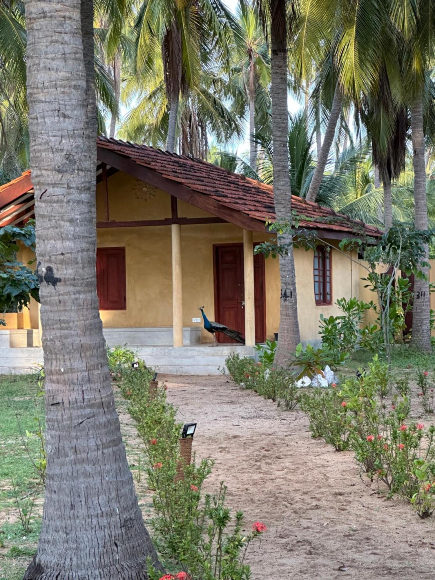 Kitelantis Hotel And Resort คัลพิทิยา ภายนอก รูปภาพ