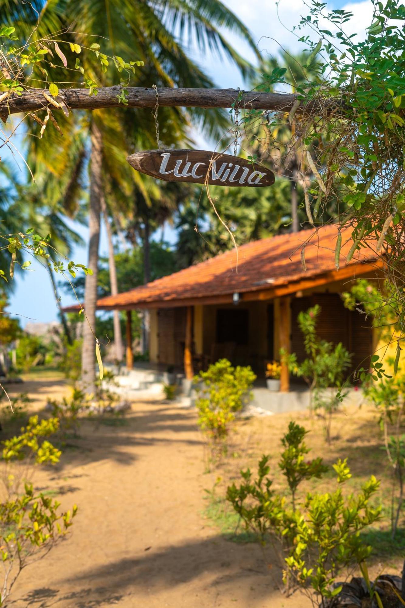 Kitelantis Hotel And Resort คัลพิทิยา ภายนอก รูปภาพ