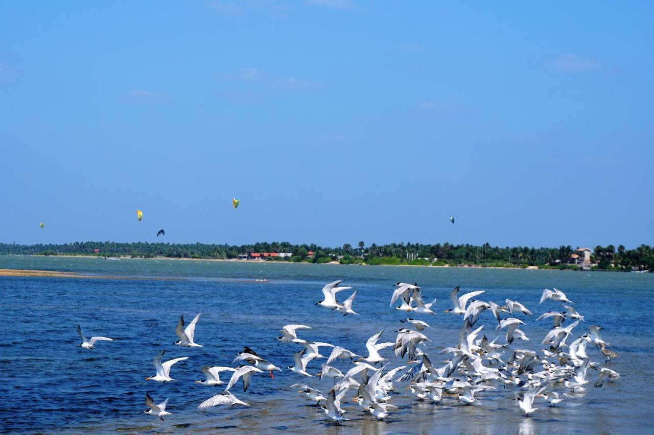 Kitelantis Hotel And Resort คัลพิทิยา ภายนอก รูปภาพ